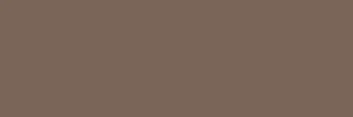 Lexus C10