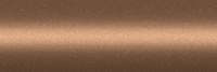 Nissan AGN