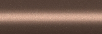 Nissan CAG
