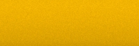 Renault A31