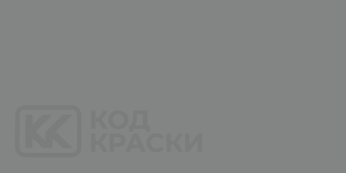 RAL 000 55 00