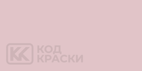 RAL 010 80 10