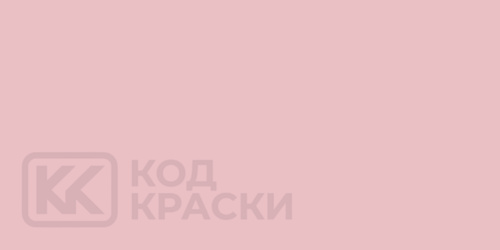 RAL 010 80 15