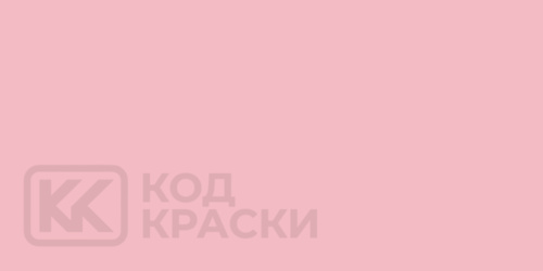 RAL 010 80 20